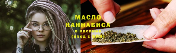 дмт Сатка
