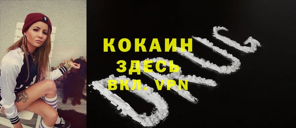 твердый Семилуки
